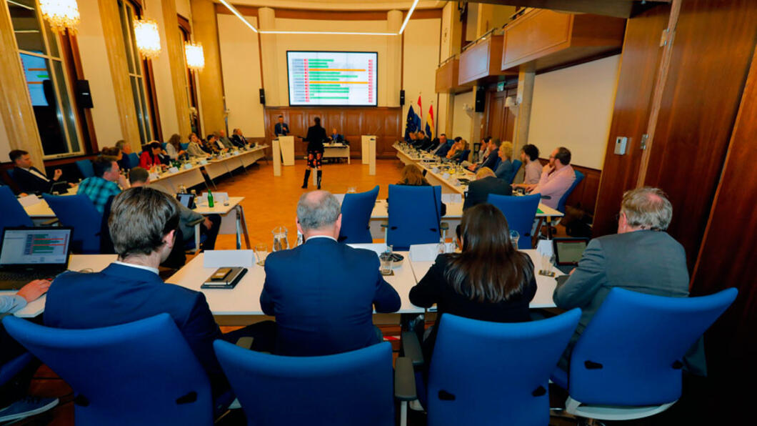 GroenLinks Vlaardingen start trainingen voor aspirant raadsleden - 16 oktober 2020