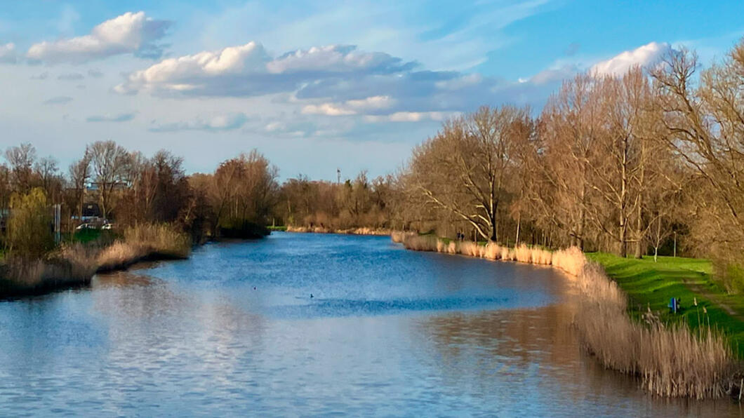Vlaardingen versterkt stadsnatuur tot groen netwerk - 17 maart 2026