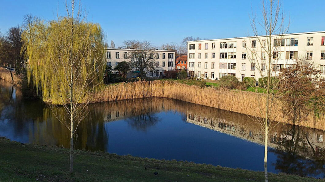 Beweging bij De Snaayer: eindelijk zicht op sloop en nieuwbouw - juni 2026