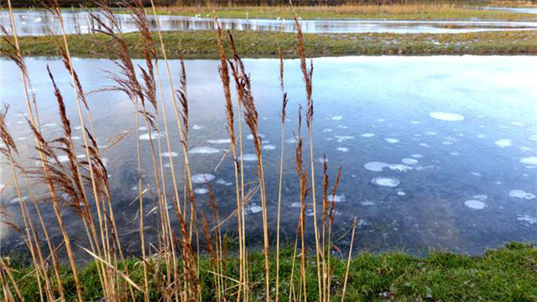 Vispaaiplaats - Foto: Kees Clement Foto Vispaaiplaats: Kees Clement - Water Natuurlijk