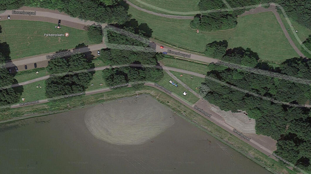 GroenLinks Vlaardingen maakt zich zorgen om mogelijk gebruik van gif in het Oeverbos en stel vragen aan B&W - 12 juni 2017