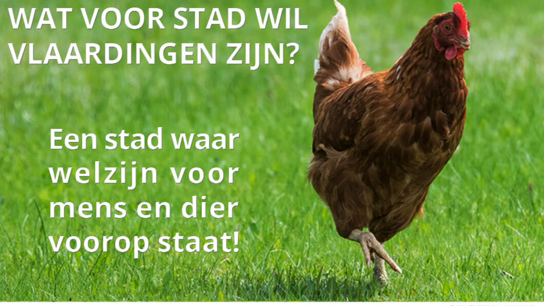 Gemeenteraad stemt in met een plofkippenrestaurant in Vlaardingen - 25 januari 2018