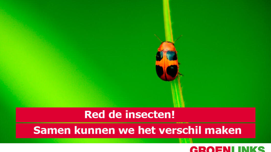 Alarmerend verlies aan insecten – GroenLinks wil maatregelen