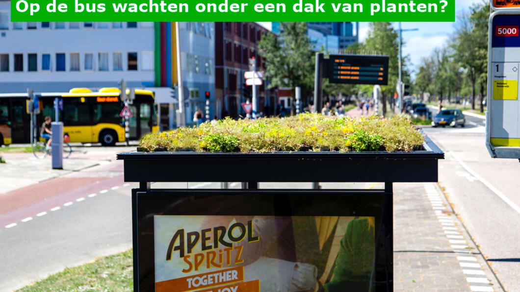 Vragen GroenLinks Vlaardingen over het groen maken van daken van bushokjes - 25 juli 2019