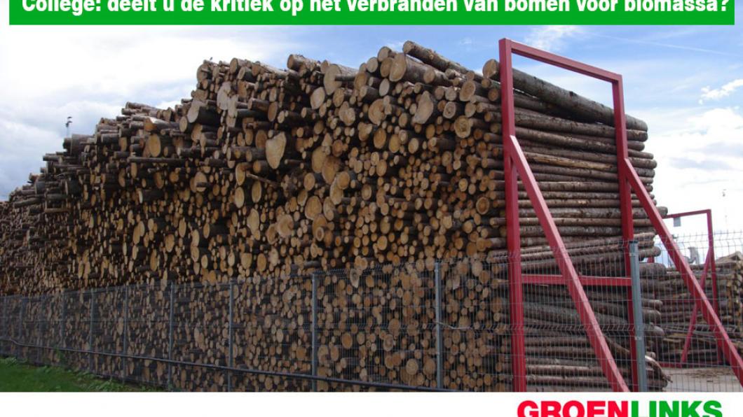 GroenLinks vraagt: College, deelt u de kritiek op het verbranden van bomen voor biomassa? - 11 maart 2020