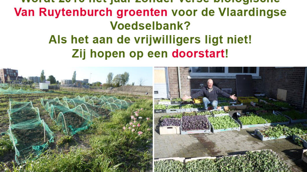 Stadslandbouw Van Ruytenburch zoekt nieuwe grond - 28 oktober 2015