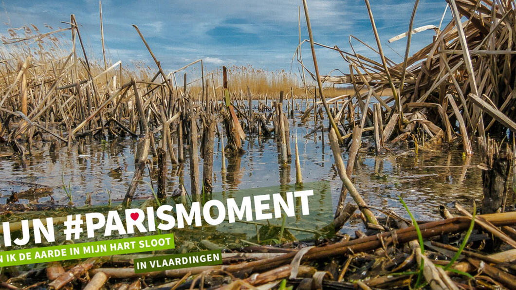 mijn #parismoment foto wedstrijd Vlaardingen