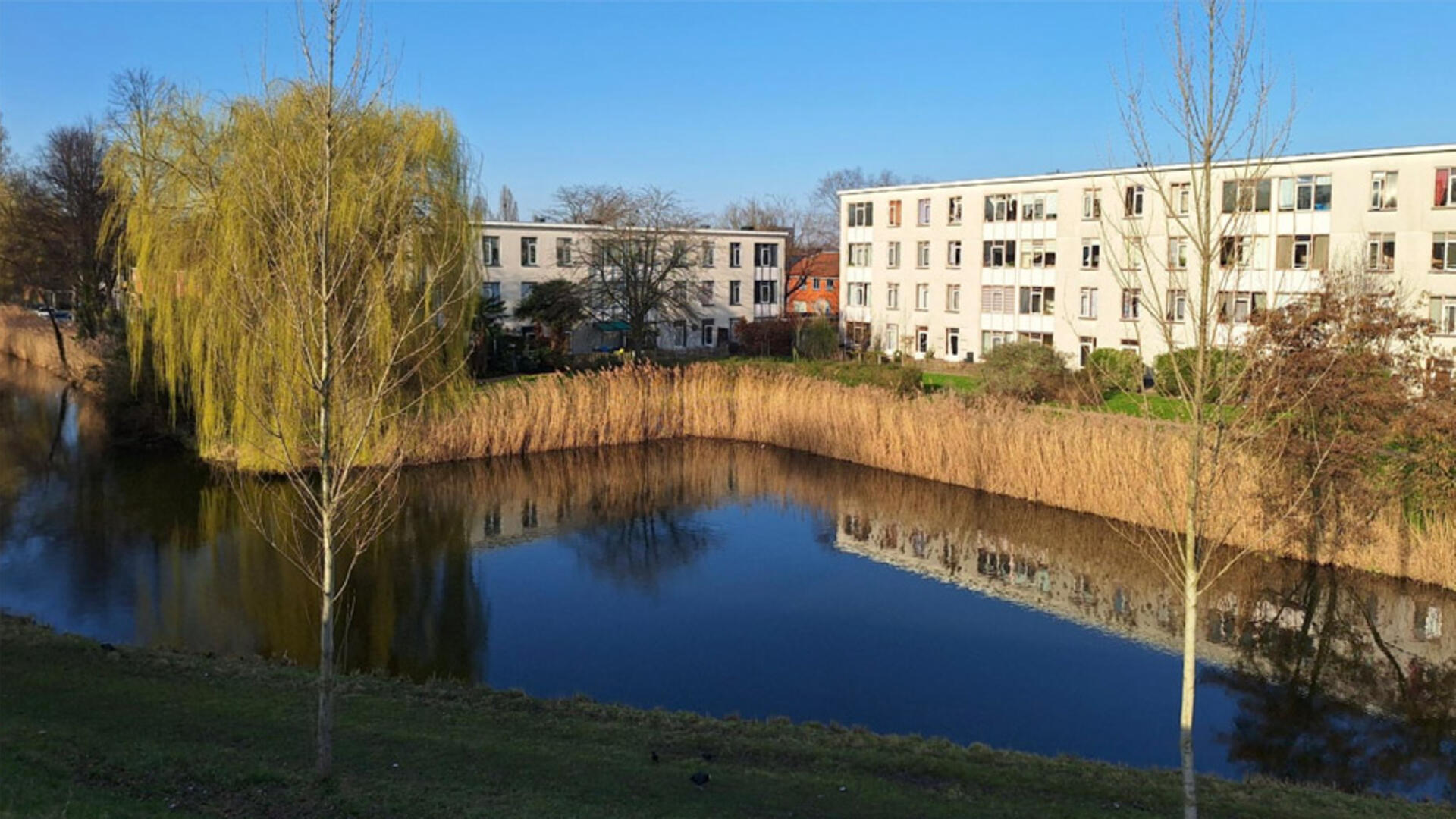 Beweging bij De Snaayer: eindelijk zicht op sloop en nieuwbouw - 7 maart 2026