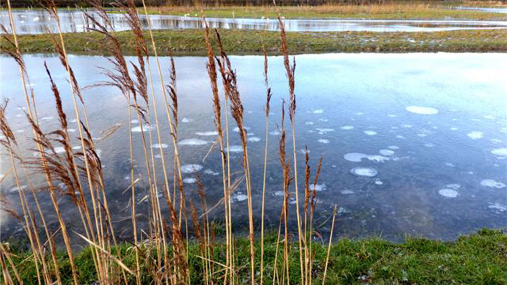 Foto Vispaaiplaats: Kees Clement - Water Natuurlijk