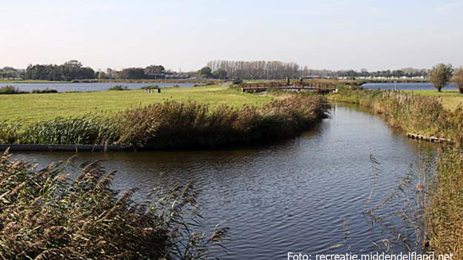 Krabbeplas - Vlaardingen