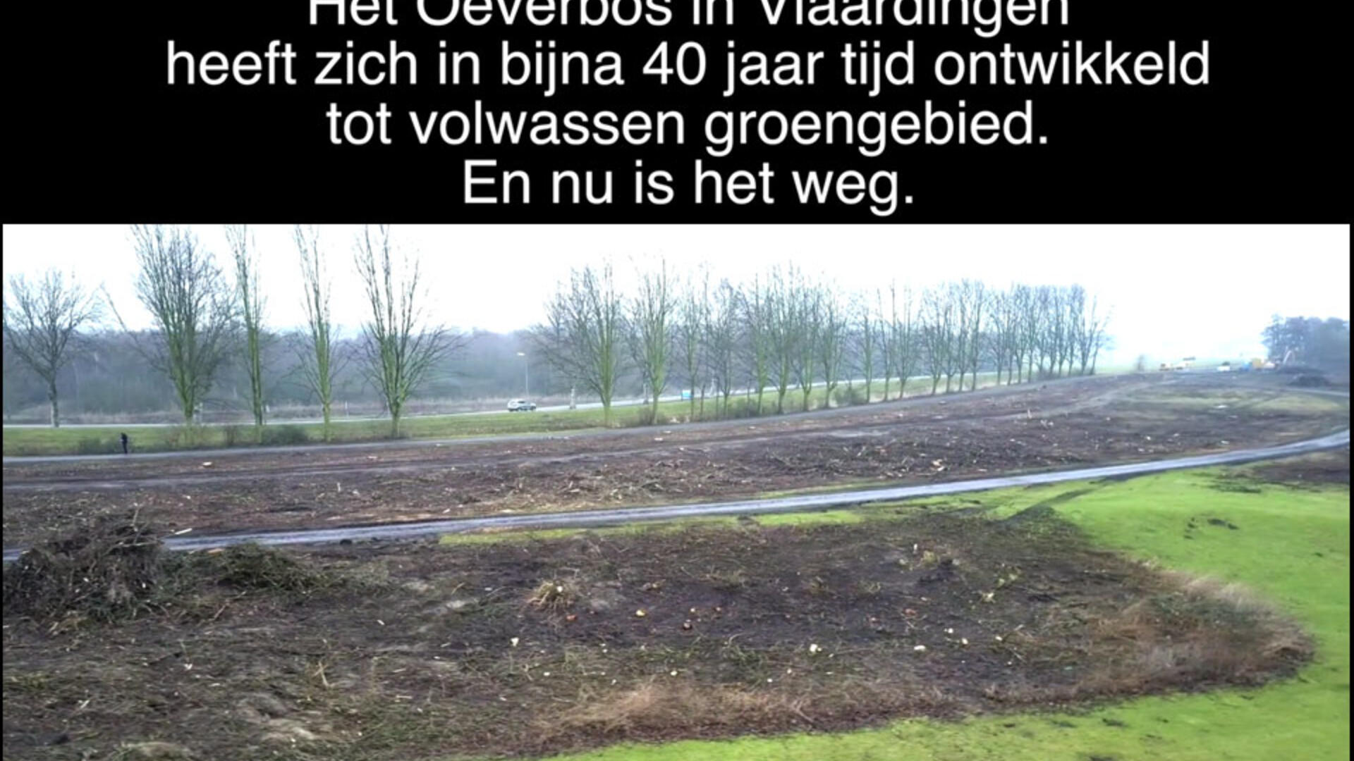 GroenLinks Vlaardingen stelt vraen aan college over kap Oeverbos - 10 febr. 2017