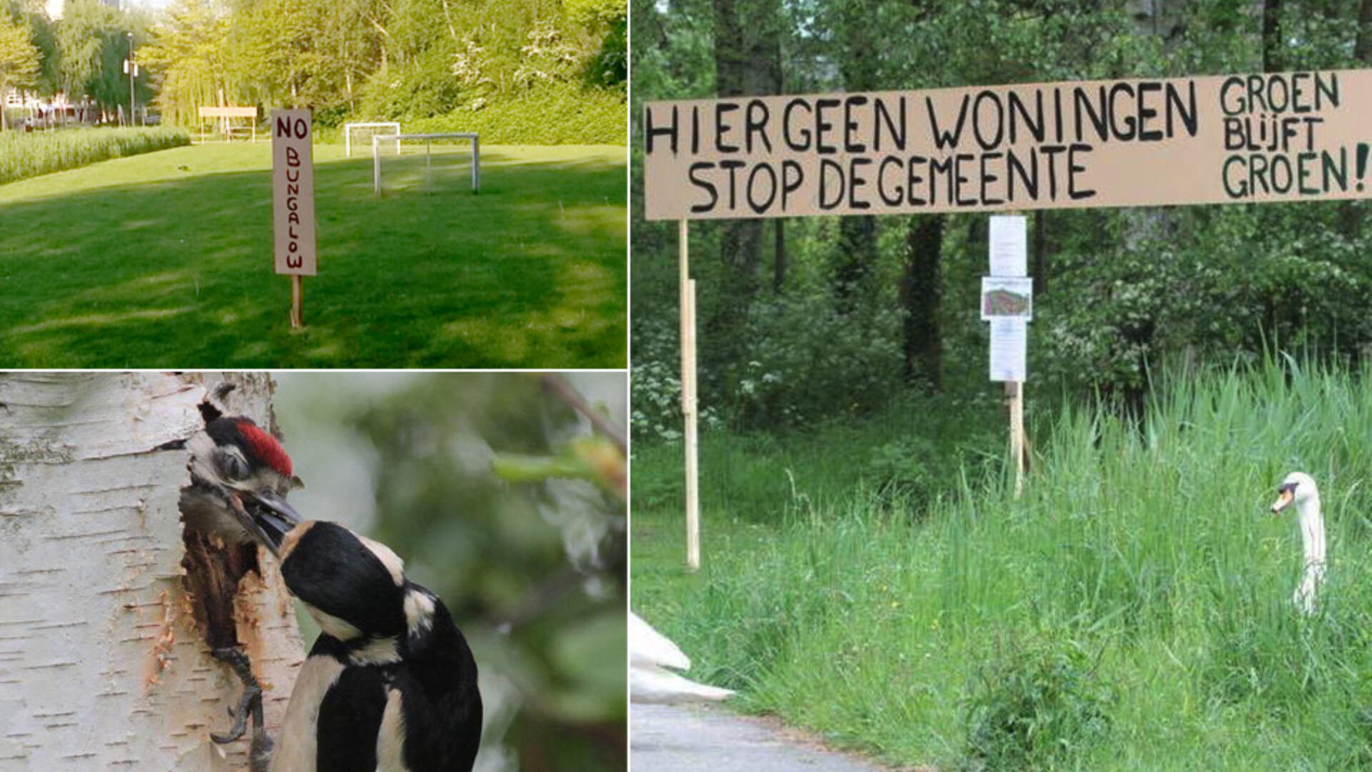 GroenLinks verbijsterd over plan bouw bungalows in groene zone Holy Noord - mei 2017