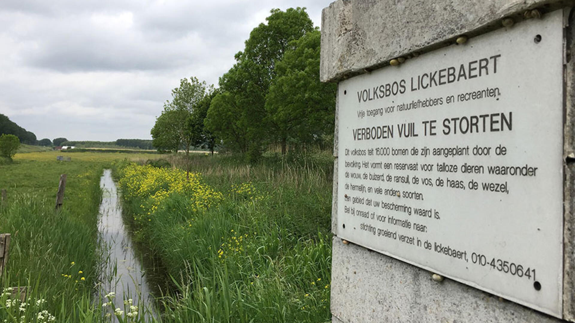 tentoonstelling 25 jaar protestbos in Vlaardingen - sept. tot dec. 2017