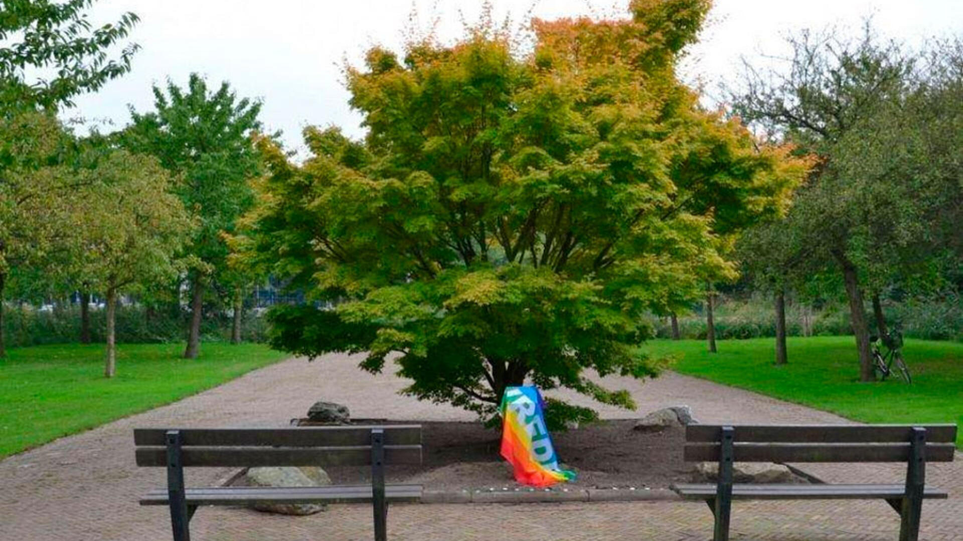 Herdenkingsboom op het rosarium van het voormalig Holy ziekenhuis - Nooit meer Hiroshima