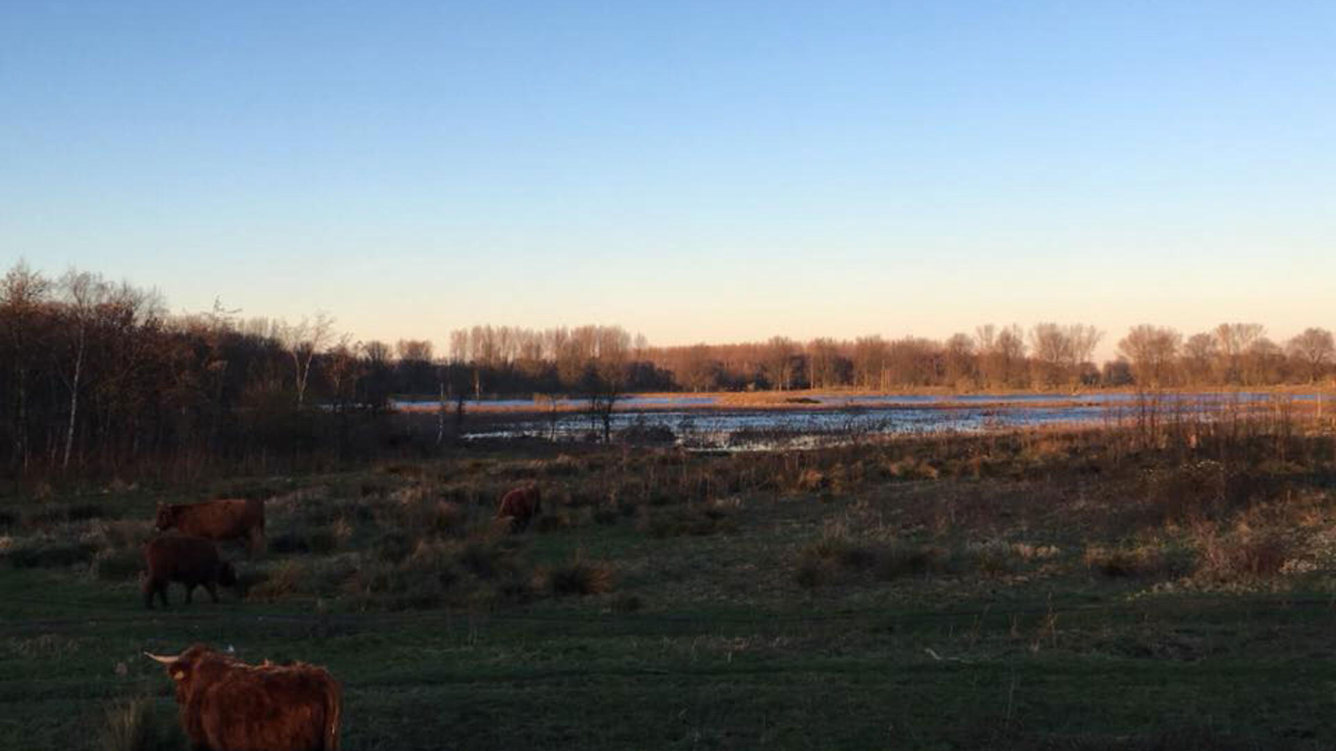 Broekpolder - Vlaardingen - februari 2019