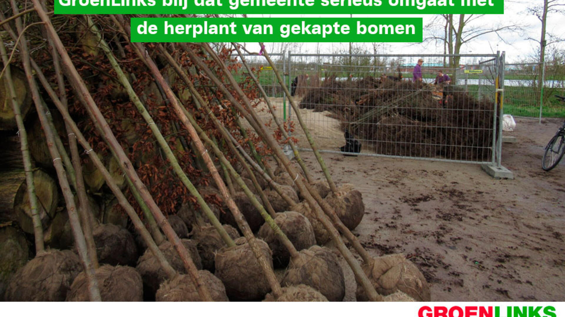 GroenLinks blij dat gemeente serieus omgaat met de herplant van gekapte bomen - 20 maart 2020
