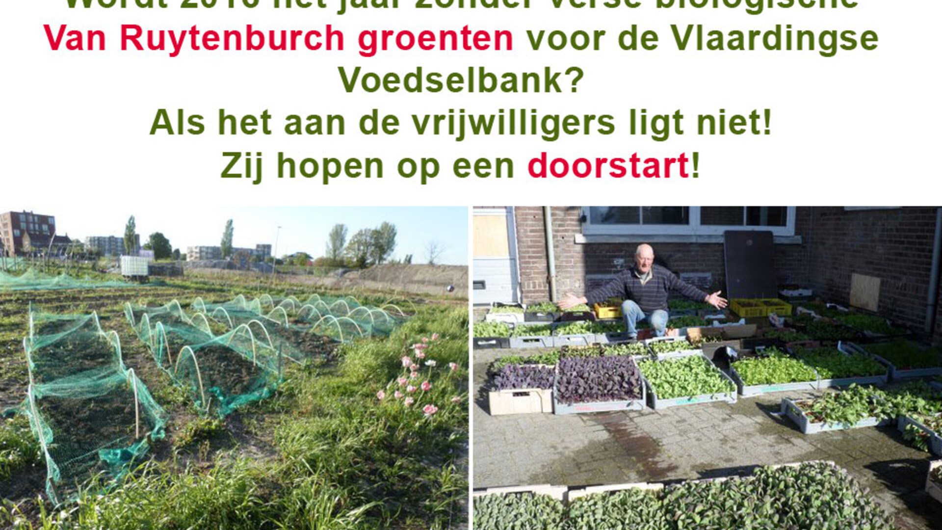Stadslandbouw Van Ruytenburch zoekt nieuwe grond - 28 oktober 2015